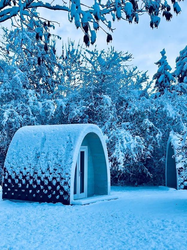 Egn Boutique Hotel Stege Zewnętrze zdjęcie